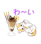まんまるチビ猫たちと夏スイーツ（個別スタンプ：37）
