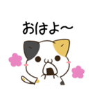 毎日五月病なねこたち 福岡 博多弁（個別スタンプ：1）