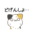 毎日五月病なねこたち 福岡 博多弁（個別スタンプ：19）