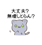 毎日五月病なねこたち 福岡 博多弁（個別スタンプ：20）
