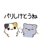 毎日五月病なねこたち 福岡 博多弁（個別スタンプ：23）