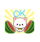 夏のしろにゃんこスタンプ（個別スタンプ：5）