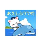 夏のしろにゃんこスタンプ（個別スタンプ：11）
