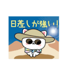 夏のしろにゃんこスタンプ（個別スタンプ：17）