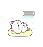 夏のしろにゃんこスタンプ（個別スタンプ：19）