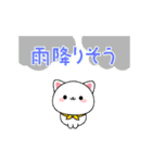 夏のしろにゃんこスタンプ（個別スタンプ：21）
