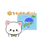 夏のしろにゃんこスタンプ（個別スタンプ：22）