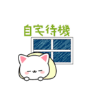 夏のしろにゃんこスタンプ（個別スタンプ：23）