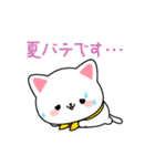 夏のしろにゃんこスタンプ（個別スタンプ：24）