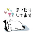普通に大人猫さん   (日常編)（個別スタンプ：18）