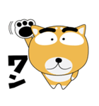 毎日、柴犬くん（個別スタンプ：1）