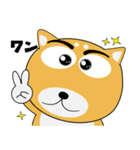 毎日、柴犬くん（個別スタンプ：4）