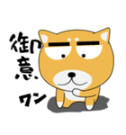 毎日、柴犬くん（個別スタンプ：5）