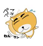 毎日、柴犬くん（個別スタンプ：8）