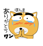 毎日、柴犬くん（個別スタンプ：10）