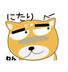 毎日、柴犬くん（個別スタンプ：12）