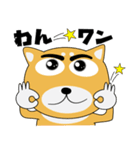 毎日、柴犬くん（個別スタンプ：20）