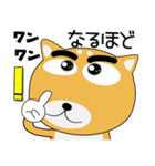 毎日、柴犬くん（個別スタンプ：23）