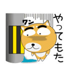 毎日、柴犬くん（個別スタンプ：27）