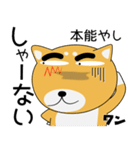 毎日、柴犬くん（個別スタンプ：28）