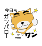 毎日、柴犬くん（個別スタンプ：33）