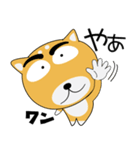毎日、柴犬くん（個別スタンプ：36）