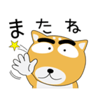 毎日、柴犬くん（個別スタンプ：39）