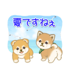 よちよち豆柴兄弟の夏（個別スタンプ：2）