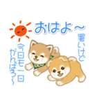 よちよち豆柴兄弟の夏（個別スタンプ：4）