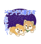 よちよち豆柴兄弟の夏（個別スタンプ：7）