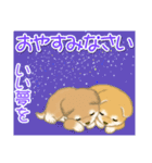 よちよち豆柴兄弟の夏（個別スタンプ：8）