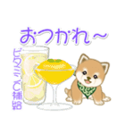 よちよち豆柴兄弟の夏（個別スタンプ：11）