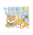 よちよち豆柴兄弟の夏（個別スタンプ：13）
