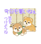よちよち豆柴兄弟の夏（個別スタンプ：14）