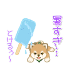 よちよち豆柴兄弟の夏（個別スタンプ：16）