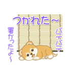 よちよち豆柴兄弟の夏（個別スタンプ：17）