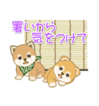 よちよち豆柴兄弟の夏（個別スタンプ：20）
