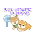よちよち豆柴兄弟の夏（個別スタンプ：22）