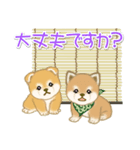 よちよち豆柴兄弟の夏（個別スタンプ：24）