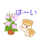 よちよち豆柴兄弟の夏（個別スタンプ：25）