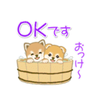 よちよち豆柴兄弟の夏（個別スタンプ：27）