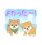 よちよち豆柴兄弟の夏（個別スタンプ：32）
