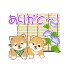 よちよち豆柴兄弟の夏（個別スタンプ：33）
