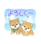 よちよち豆柴兄弟の夏（個別スタンプ：35）