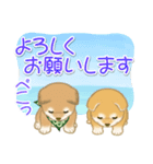 よちよち豆柴兄弟の夏（個別スタンプ：36）