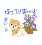 よちよち豆柴兄弟の夏（個別スタンプ：38）