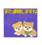 よちよち豆柴兄弟の夏（個別スタンプ：40）