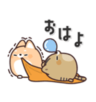 飛び出す！ふてぶてしばいぬ＆キジトラ猫 2（個別スタンプ：3）