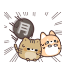 飛び出す！ふてぶてしばいぬ＆キジトラ猫 2（個別スタンプ：6）