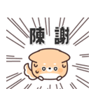 飛び出す！ふてぶてしばいぬ＆キジトラ猫 2（個別スタンプ：15）